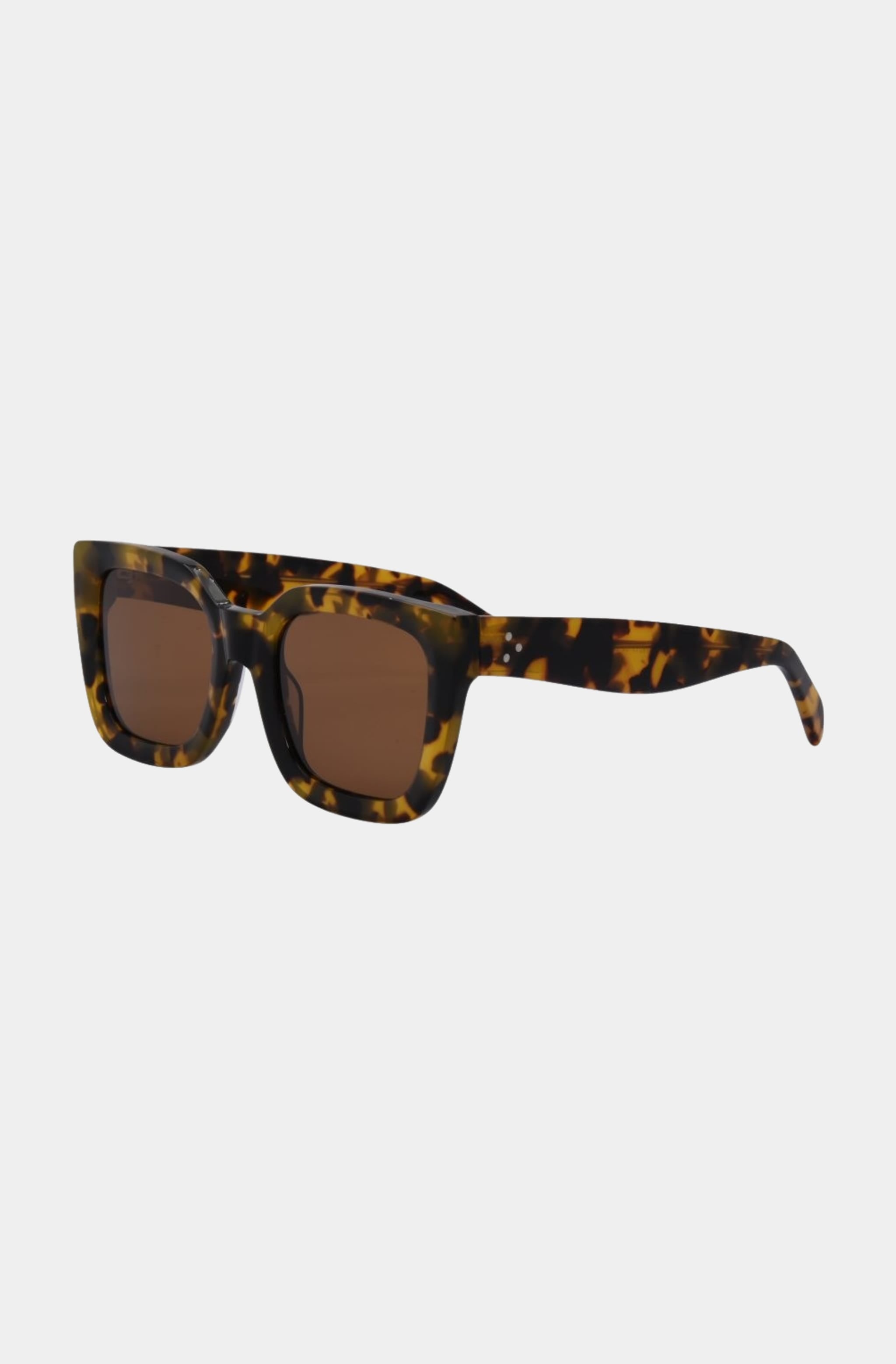 Alden Sunglasses