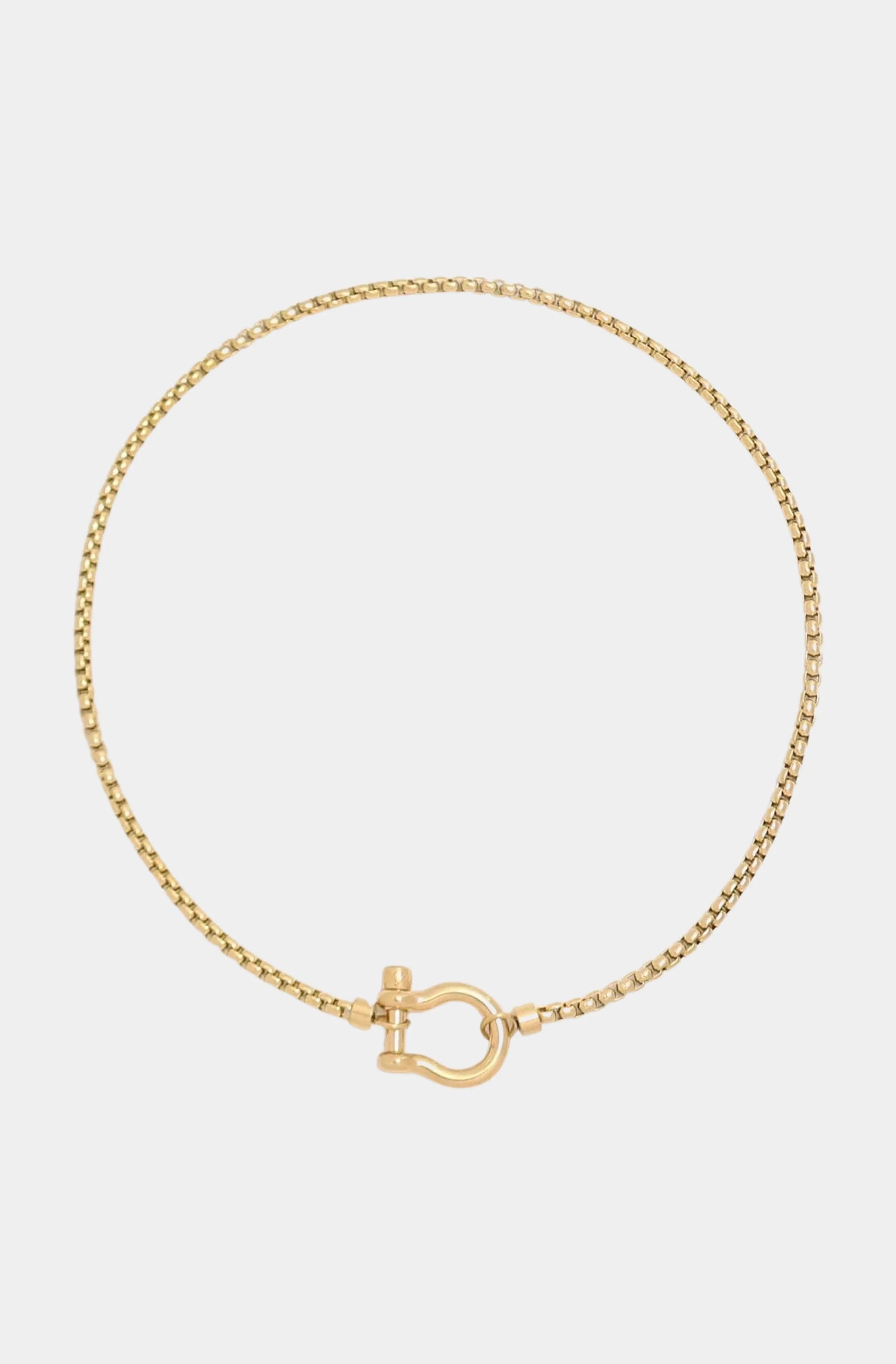 Chunky Carabiner Necklace