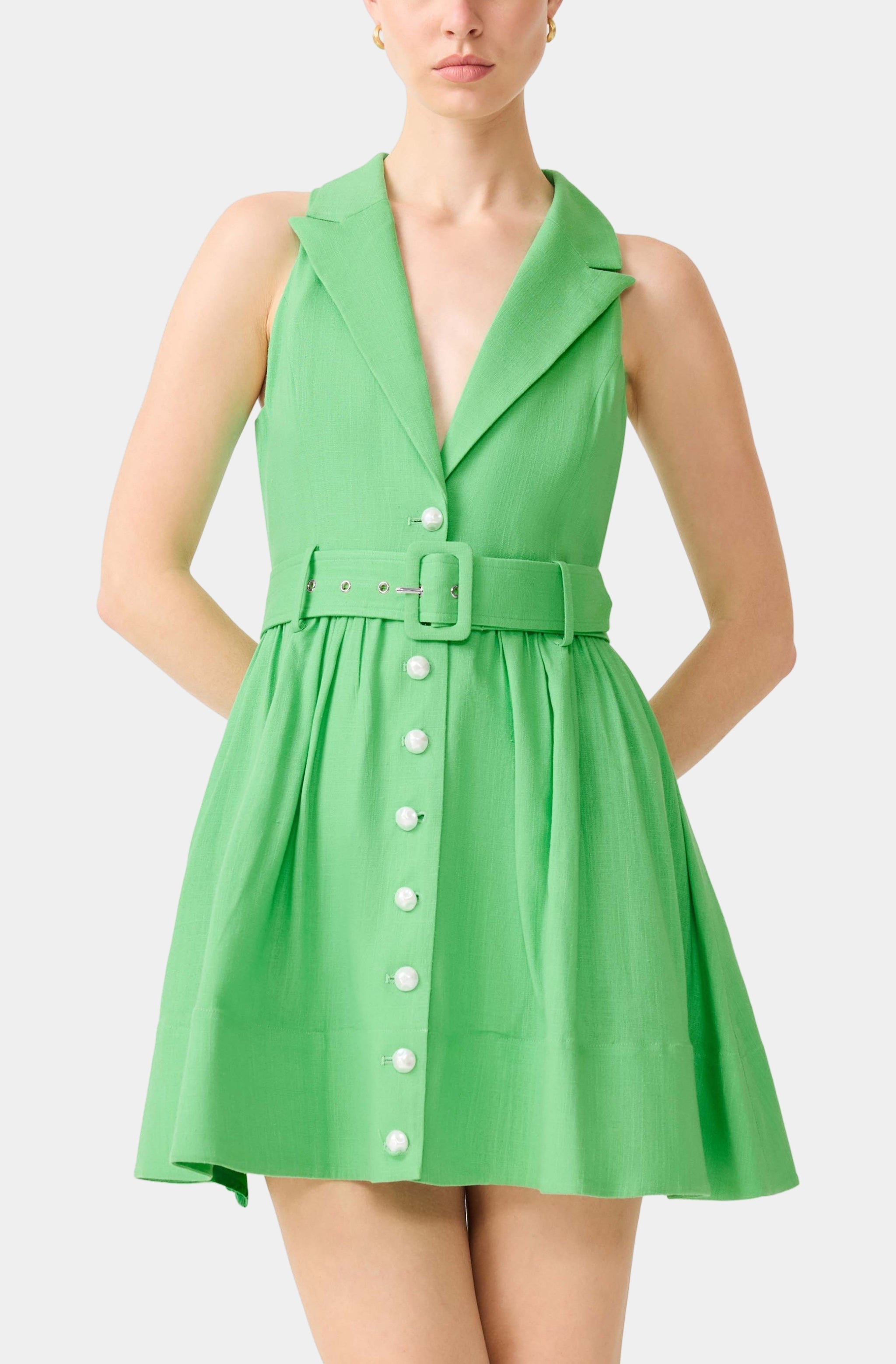 Emilie Collared Mini Dress